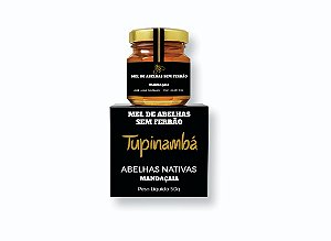 Mel de Abelhas sem Ferrão | Mandaçaia - 50g