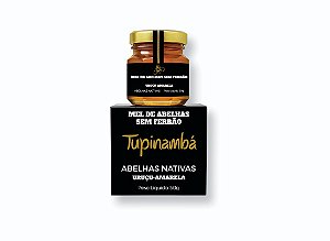 Mel de Abelhas sem Ferrão | Uruçu Amarela - 50g