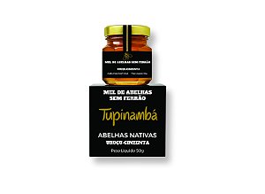 Mel de Abelhas sem Ferrão | Uruçu Cinzenta - 50g