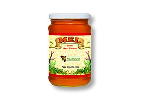 Mel de Flores Silvestres - 400g