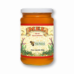 Mel de Flores Silvestres - 400g