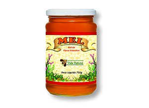 Mel de Flores Silvestres - 730g
