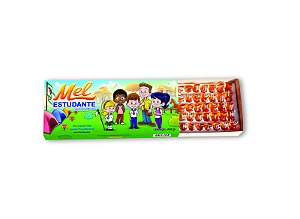 Mel Estudante | Mel de Flores Silvestres - 300g