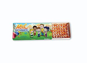 Mel Estudante | Mel de Flores Silvestres - 300g