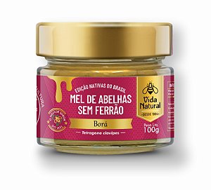 Mel de Abelhas sem Ferrão | Borá - 100g