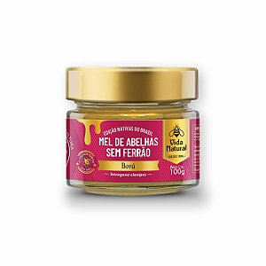 Mel de Abelhas sem Ferrão | Borá - 100g