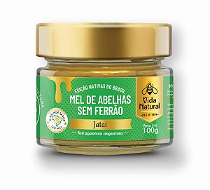 Mel de Abelhas sem Ferrão | Jataí - 100g