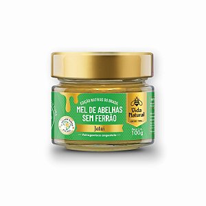 Mel de Abelhas sem Ferrão | Jataí - 100g