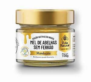 Mel de Abelhas sem Ferrão | Mandaçaia - 100g
