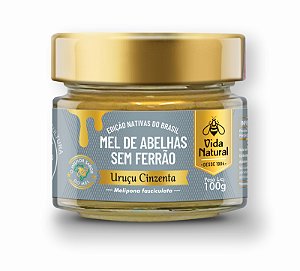 Mel de Abelhas sem Ferrão | Uruçu Cinzenta - 100g