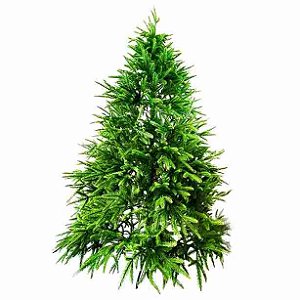 Pinheiro de Natal Abeto 2.10m com 1183 Galhos