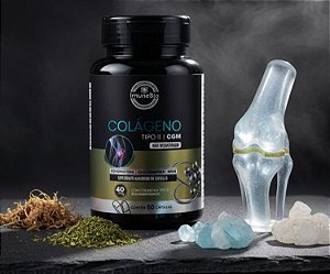 Colágeno Tipo 2 CGM + Glucosamina + Condroitina + MSM 60 Caps; Premium