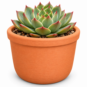 Vaso de Cerâmica Terracota 18 cm para plantas em geral