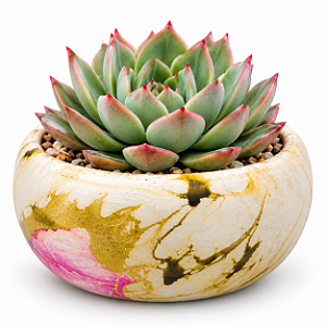 Vaso de Cerâmica Artesanal Pintado(Bacia)
