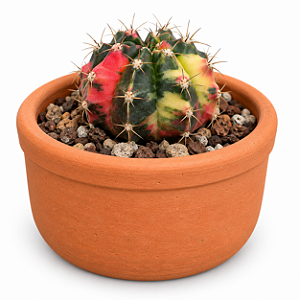 Vaso de Barro Terracota Redondo 15 cm - ideal para plantas