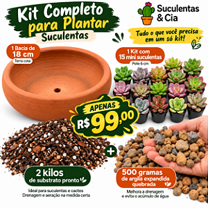 Kit Completo 15 Mini Suculentas + Bacia + Substrato + Argila