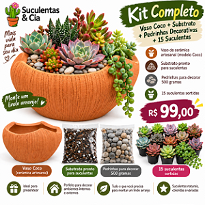 Kit com 15 Mini Suculentas + Vaso + Substrato + Pedrinha