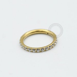 PVD32 Segmento Cravejado Aço PVD Gold