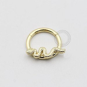 AR58 Segmento Cobra Frontal Aço Banho Ouro