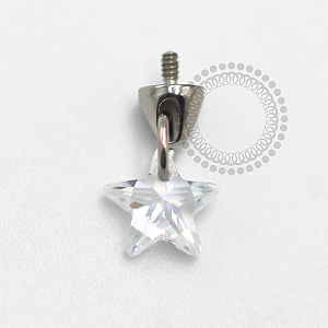 TN1619 Topo Pingente Estrela CZ Titânio ASTM F-136