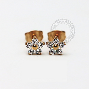 TN1157 Brinco Flor CZ Titânio PVD Gold