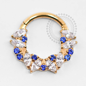 TN1387 Segmento Frontal 8mm CZ Cristal e Safira Titânio PVD Gold