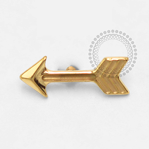 TN1509 Topo Flecha Titânio PVD Gold