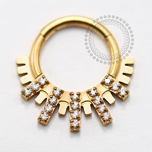 TN1539 Segmento Frontal 8mm 5 Barras CZ Titânio PVD Gold