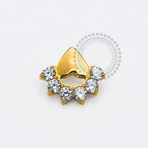 TN1769 Topo Triangular com Arco CZ Titânio PVD Gold