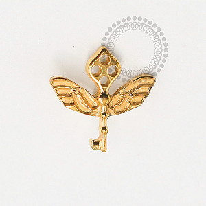 TN1779 Topo Chave Portal Harry Potter Titânio PVD Gold