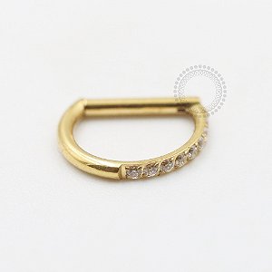 TN587 Segmento Haste Reta Meio CZ Titânio PVD Gold
