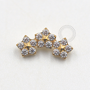 TN676 Topo Cluster 3 Flores CZ Titanio PVD Gold