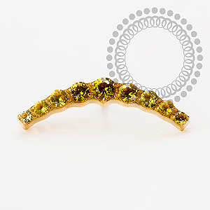 TN2183 Topo Cluster CZ Amarelo Push Pin Titânio PVD Gold