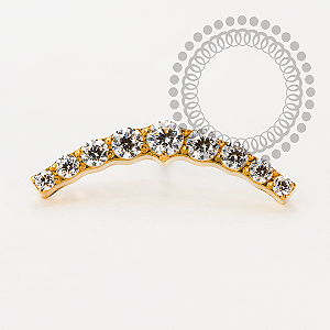 TN2184 Topo Cluster CZ Push Pin Titânio PVD Gold