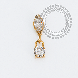 TN2253 Topo Navete Vertical Pingente Push Pin CZ Titânio PVD Gold