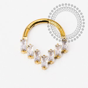 TN2271 Segmento Frontal Triangular Baguetes Titânio PVD Gold