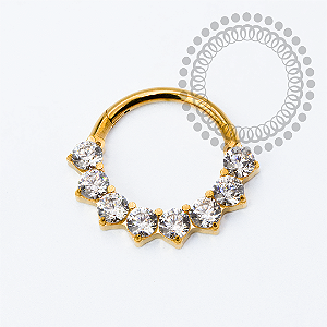 TN2273 Segmento 8 CZ Frontal Titânio PVD Gold