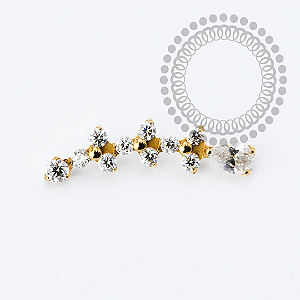 TN2261 Topo Cluster Três Trinitys e CZ Gota Titânio PVD Gold