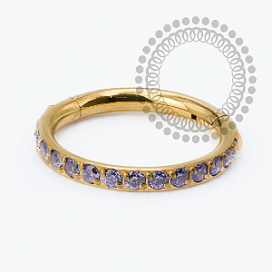 TN2334 Segmento Cravejado CZ Violeta Titânio PVD Gold