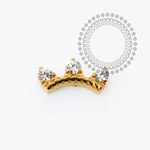 TN2347 Topo Arco 3 CZ  Titânio PVD Gold