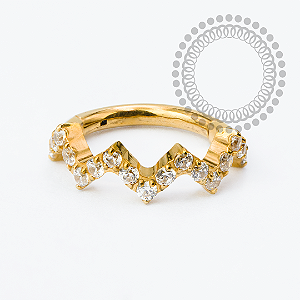 TN2340 Segmento Wave CZ Titânio PVD Gold