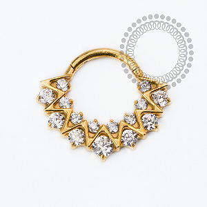 TN2468 Segmento CZ Luxo Frontal Titânio PVD Gold