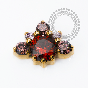 TN2473 Topo Luxo Garnet Coffee Titânio PVD Gold