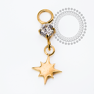 TN2475  Pingente CZ e Estrela Titânio PVD Gold