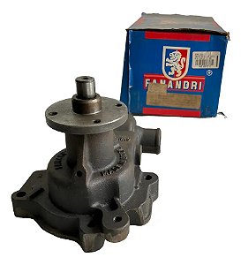 Bomba D'água Fanandri Chevette C/polia S/ Ar Bd03/e1