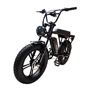Bicicleta Elétrica Fat Bike DL-01