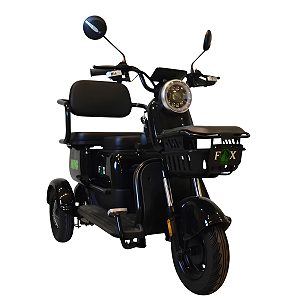 Scooter Elétrica de 3 Rodas WD-10