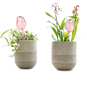 Bolas de Rega Automática Premium Rosa para Plantas Internas e Externas, Design Durável e Ecológico para Uso em Casa e Jardim