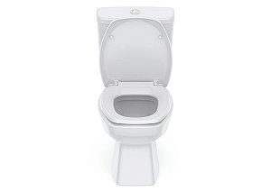 Kit Bacia Com Caixa, Assento Pp Soft Close E Complementos De Instalação Thema