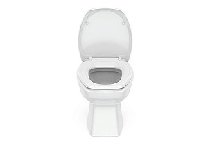 Kit Bacia Convencional, Assento Pp Soft Close E Complementos De Instalação Thema